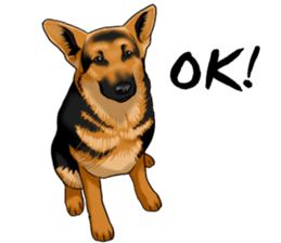 German Shepherd Dogs. Part2. sticker #13979462