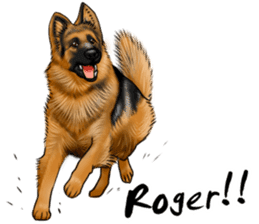German Shepherd Dogs. Part2. sticker #13979464