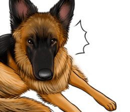 German Shepherd Dogs. Part2. sticker #13979466