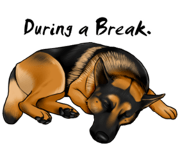 German Shepherd Dogs. Part2. sticker #13979467
