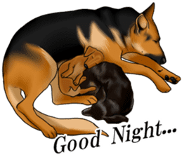 German Shepherd Dogs. Part2. sticker #13979468