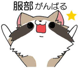 All For HATTORI sticker #13979492