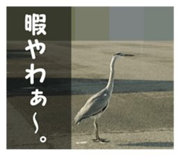 my photo.004 sticker #13979678