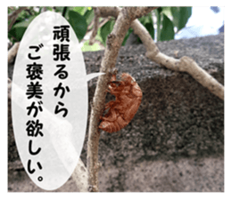 my photo.004 sticker #13979679