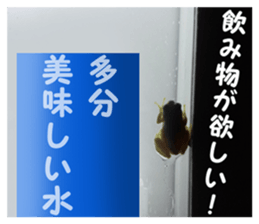 my photo.004 sticker #13979680