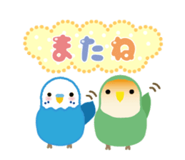 Chatting Parakeet is Social good2 sticker #13979781