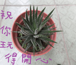 Photographs of plant photographs sticker #13980628