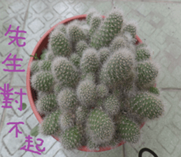 Photographs of plant photographs sticker #13980629