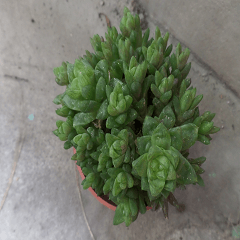 Xian Xian landscape photos