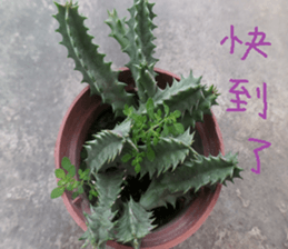 Xian Xian landscape photos sticker #13981022