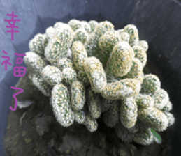 Xian Xian landscape photos sticker #13981027