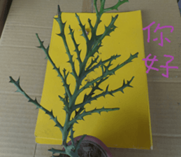 Xian Xian landscape photos sticker #13981029