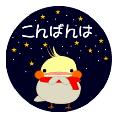 Mischievous a parakeet cyu3(winter)