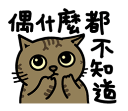 Fumeancats-Cat's jibber-jabber sticker #13982234