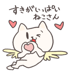 The cat I like very much