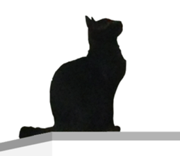Black cat and gray cat sticker #13983876