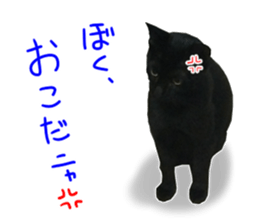 Black cat and gray cat sticker #13983877