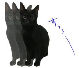 Black cat and gray cat sticker #13983884