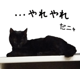 Black cat and gray cat sticker #13983888