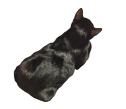 Black cat and gray cat sticker #13983890