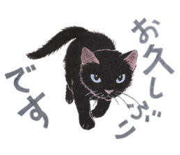 Dream cat 5 black sticker #13984963