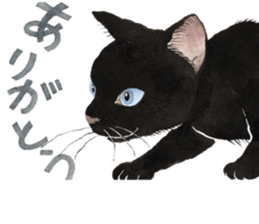 Dream cat 5 black sticker #13984966