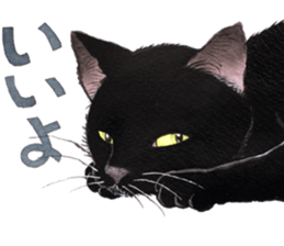 Dream cat 5 black sticker #13984968