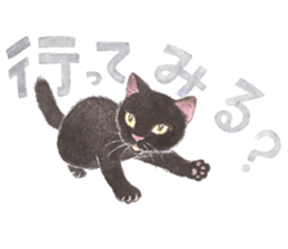 Dream cat 5 black sticker #13984972