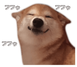 Smiling dog-mame sticker #13985268