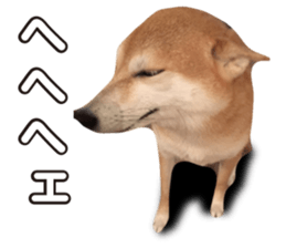 Smiling dog-mame sticker #13985269