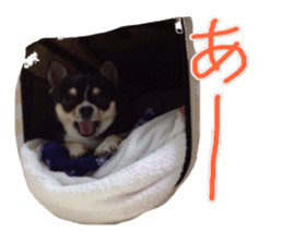 I am Lil. (Answer) sticker #13985336