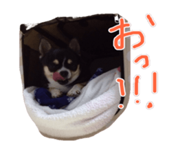 I am Lil. (Answer) sticker #13985339