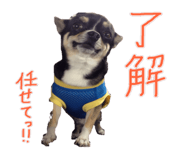 I am Lil. (Answer) sticker #13985342