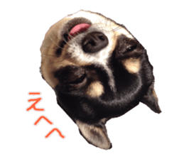 I am Lil. (Answer) sticker #13985345