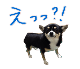 I am Lil. (Answer) sticker #13985347