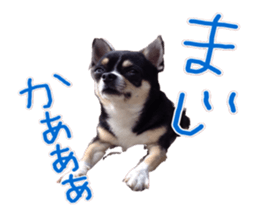 I am Lil. (Answer) sticker #13985348