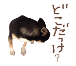 I am Lil. (Answer) sticker #13985350