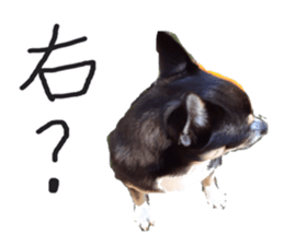 I am Lil. (Answer) sticker #13985352