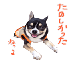 I am Lil. (Answer) sticker #13985355