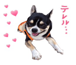 I am Lil. (Answer) sticker #13985356