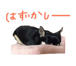 I am Lil. (Answer) sticker #13985357