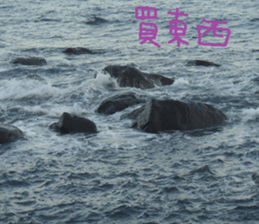 A photo of the sea sticker #13985595