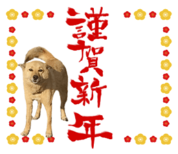 Happy New Year of Choco sticker #13985936