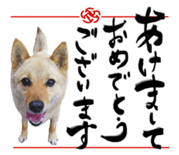 Happy New Year of Choco sticker #13985938