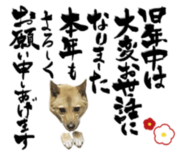 Happy New Year of Choco sticker #13985939