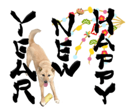 Happy New Year of Choco sticker #13985943