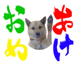 Happy New Year of Choco sticker #13985946