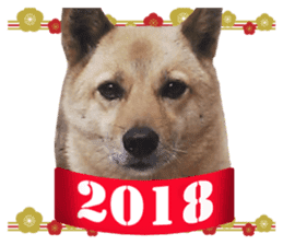 Happy New Year of Choco sticker #13985955