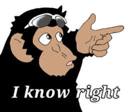 CHIMP ANDY of chimpanzee 4th ver.English sticker #13986617