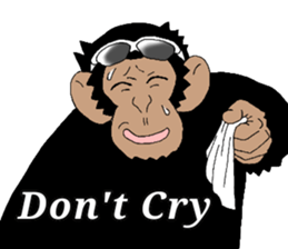 CHIMP ANDY of chimpanzee 4th ver.English sticker #13986621